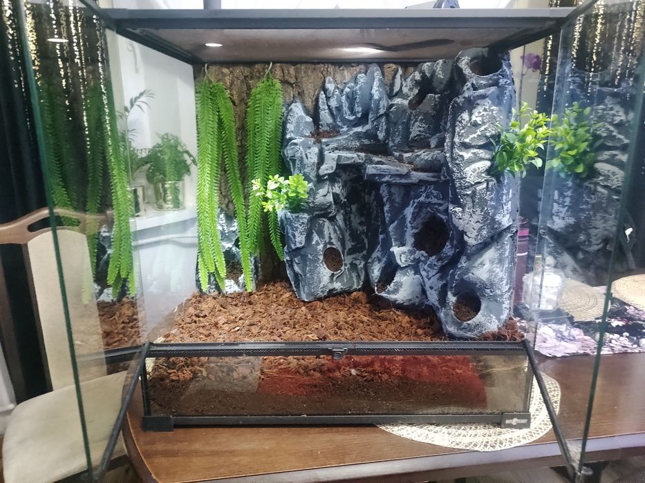 Terrarium repti planet 60x60x45