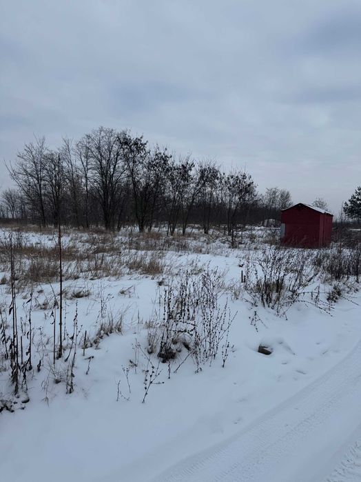 Ділянка від власника Шкуринці масив Поляна