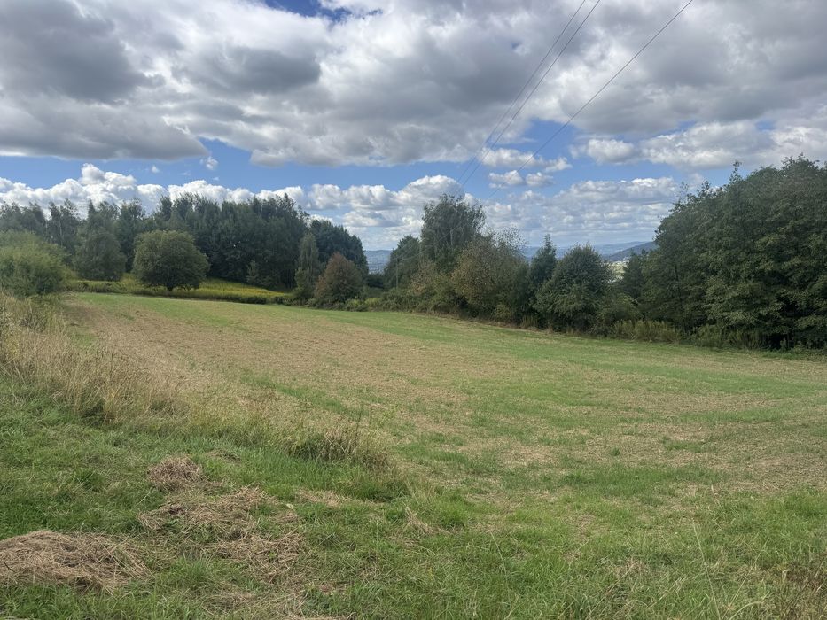 Działka rolna 0,47 hektara - Widok 2