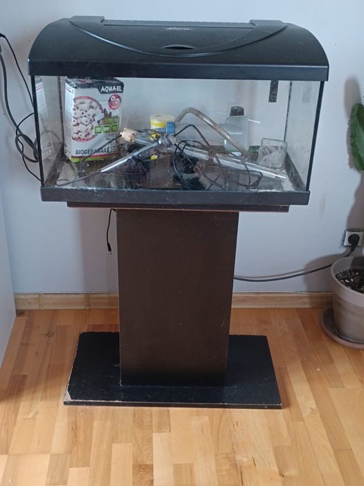 Akwarium 60L z podstawką i przyborami