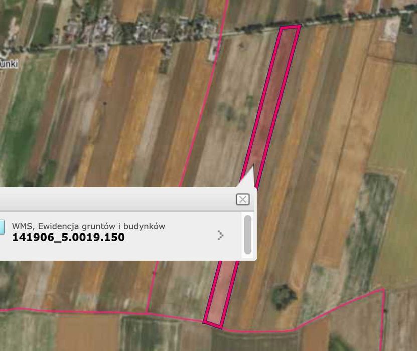 Działka rolna o pow. 4,39 ha w Koszelewie, gm. Gąbin