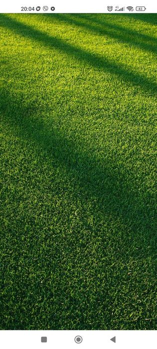 Косимо сади,подвір'я,городи,газони зі  своїм обладеннням