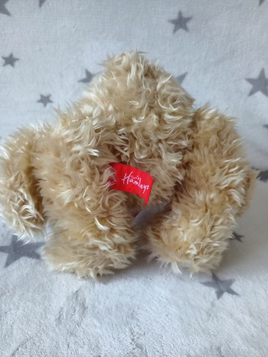 Uroczy Miś z kokardką Jakość firmy Hamleys