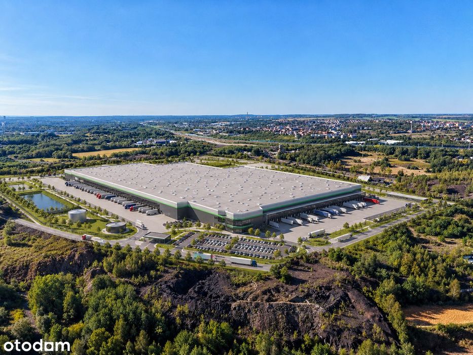 Śląskie | 25 Ha | A1 | Logistyka / Produkcja / Przemysł - Widok 3