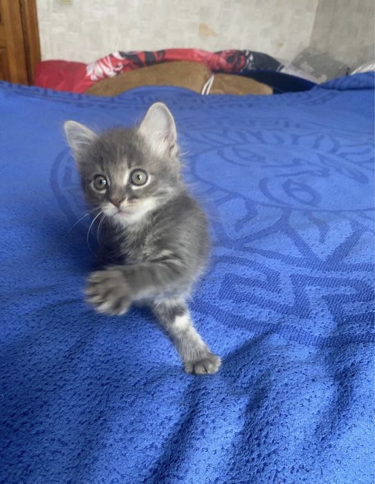 Такой красивый мальчик