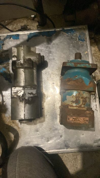 Гидроцелидри разные