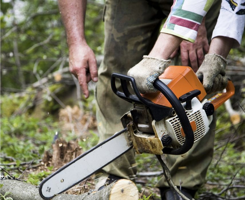 Limpeza de terrenos e jardins