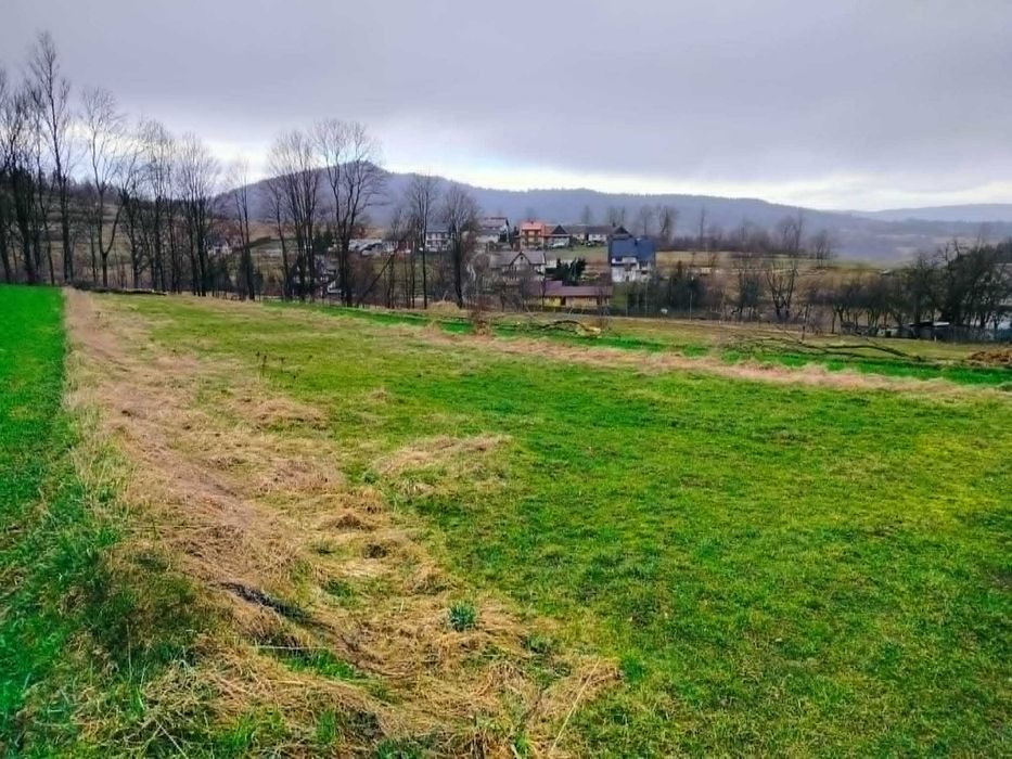 Działka budowlana -  Sidzina - Widok 6