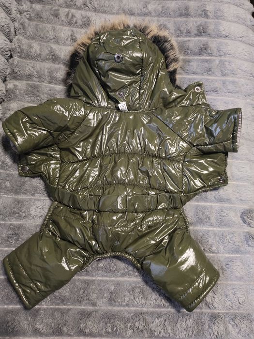 Продам зимнюю куртку для мини йорка