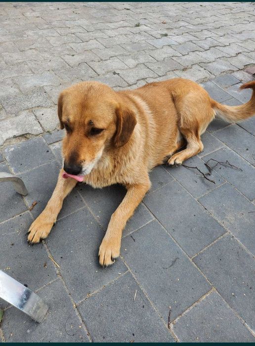 Nora oaza spokoju bardzo zrównoważona .