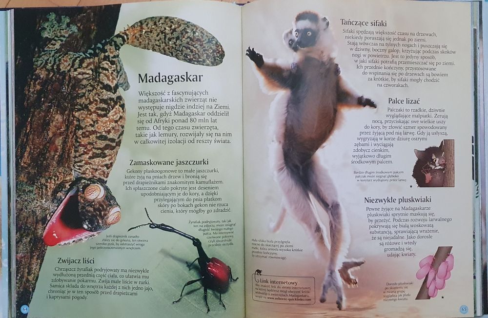 Zwierzęta świata. Davidson i Unwin.