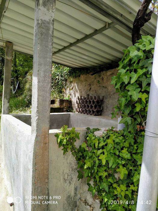 Quinta em Grijó - Castro Daire - Negociável