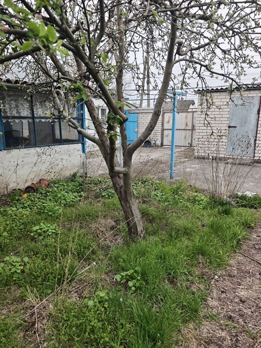 Продам дом  в Березановке