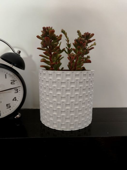 Vaso Decorativo Branco Mate
