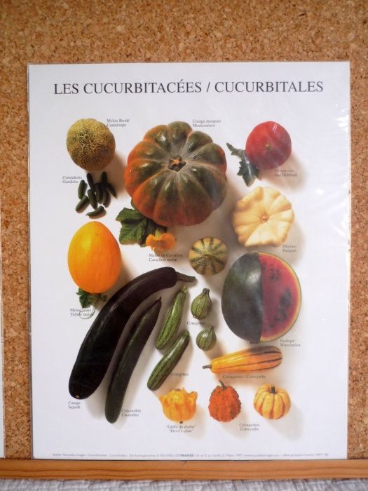 Poster / Cartaz para colocar em quadro / decoração de cozinha