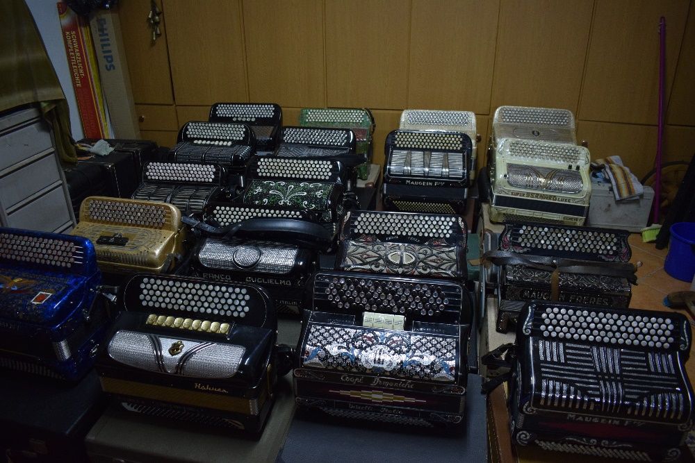 Accordion from Various Brands and Prices64173095834369123