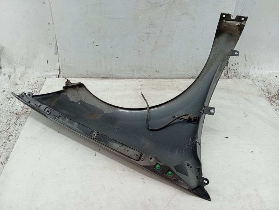 Guarda Lamas Esquerdo - RENAULT Megane II (BM0/1_, CM0/1_) | 01 - 12