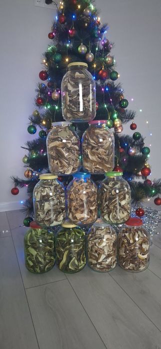 Гриби білі сушені Карпати