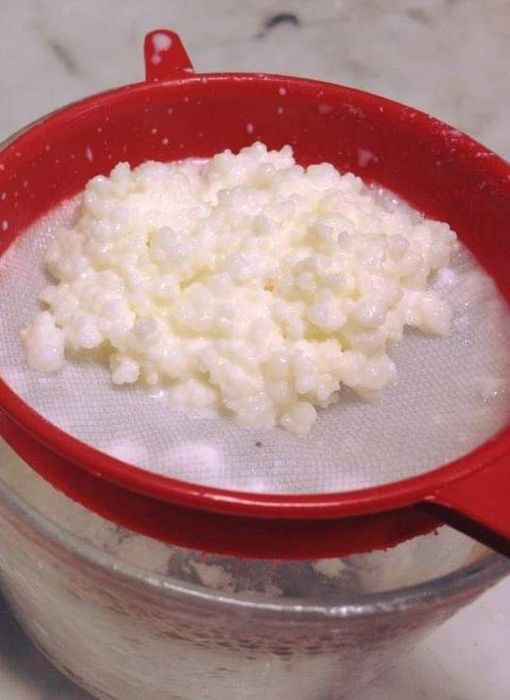 Kefir de leite saudável