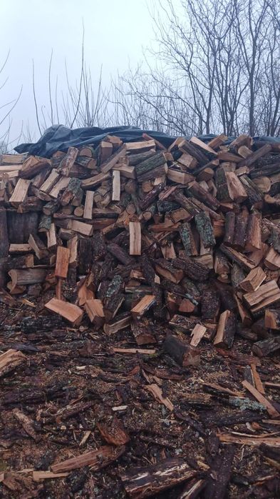 Продам дрова рубані