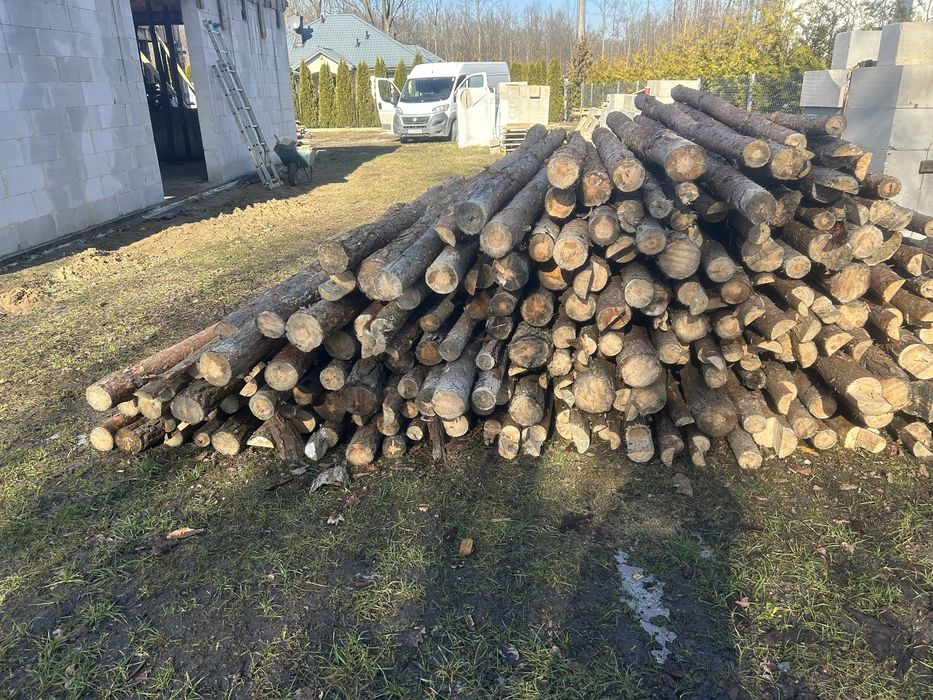 Stemple budowlane sosnowe 3 m (350 szt.)