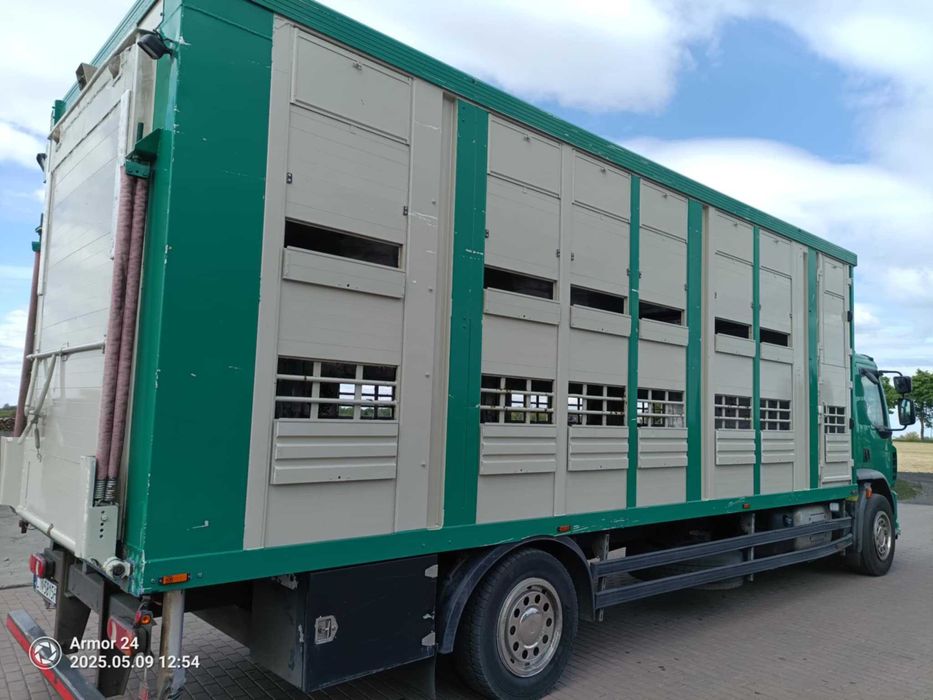 Daf do przewozu zwierząt