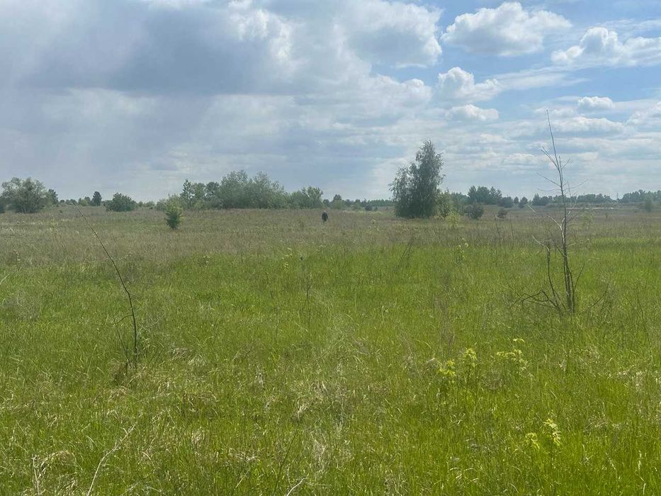 Продам ділянку в Нових Петрівцях. Вишгородський р-н - View 5