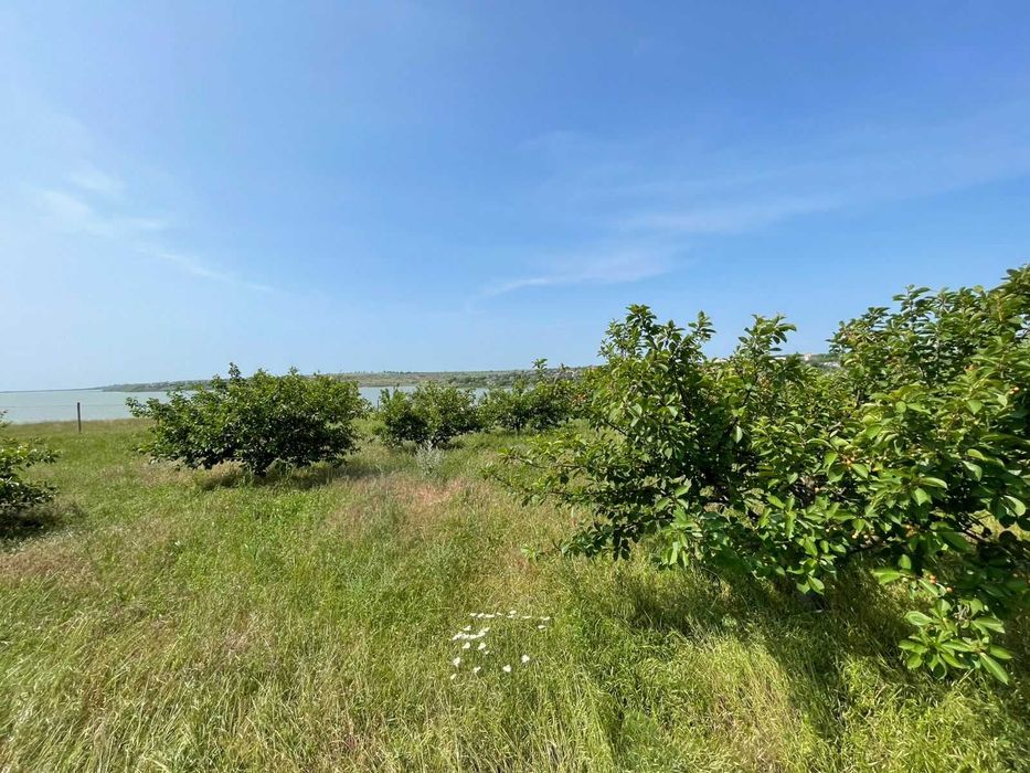 Продам 12 га земли Одесса