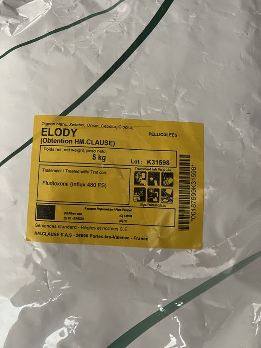 Nasiona cebuli elody clause 5kg