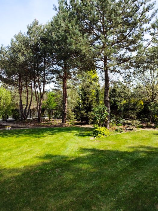 Hortensja domek do wynajęcia