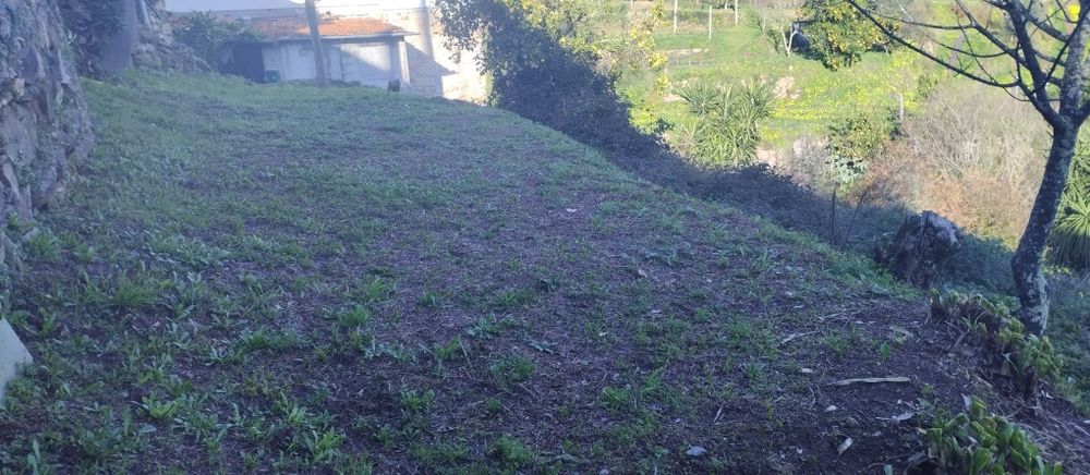 Moradia para renovar