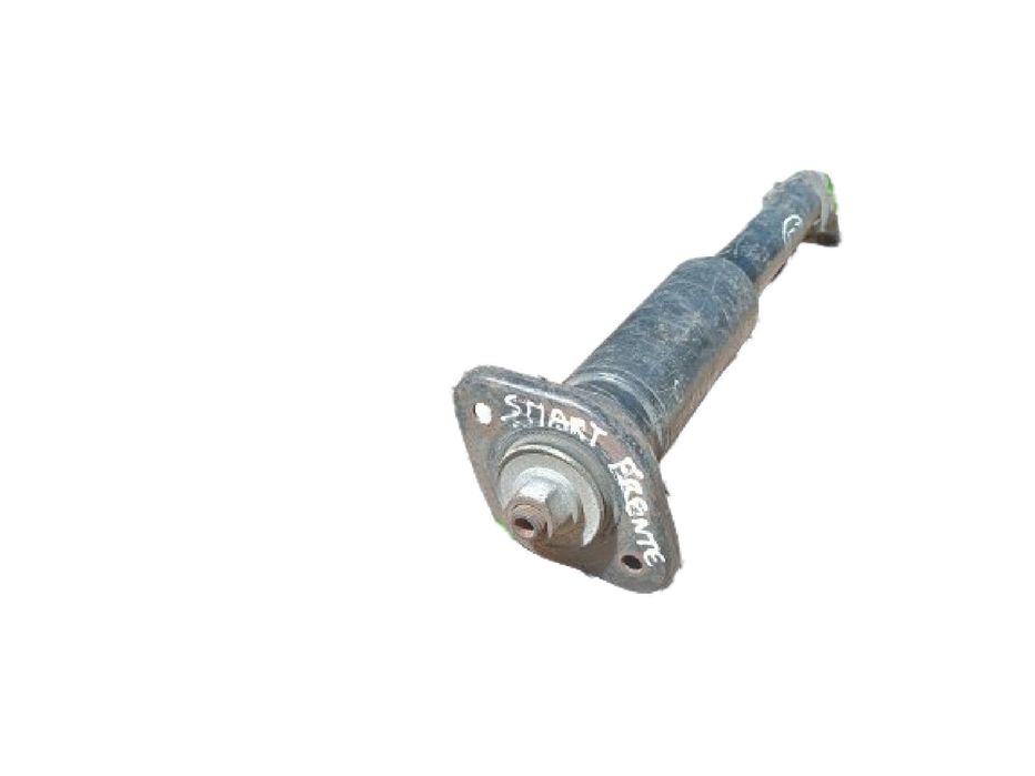 Amortecedor frente esquerdo SMART City-Coupé (450)