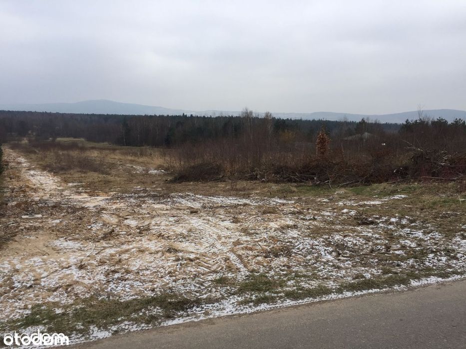 Klonów - piękne działki widokowe
