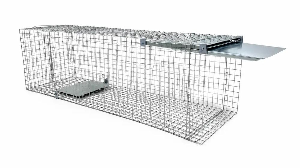 ХІТ продажу! Живоловка 120×33×37 см — надійна пастка на куниць, ласок, пацюків і котів | Надійність Зручність