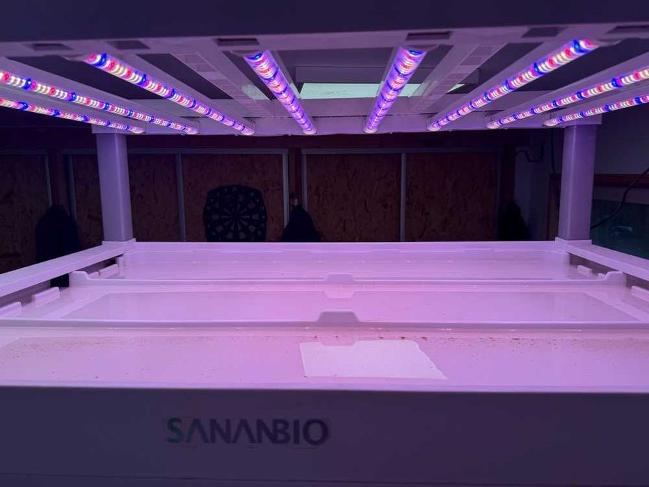 Szafa hydroponiczna do upraw wertykalnych SANANBIO RADIX Vertical Hydroponic Module 4-warstwowa led farm