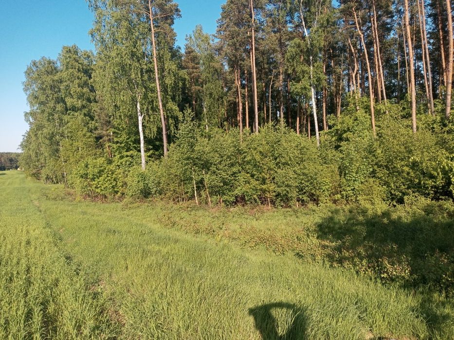 Sprzedam działkę budowlaną w Luzinie