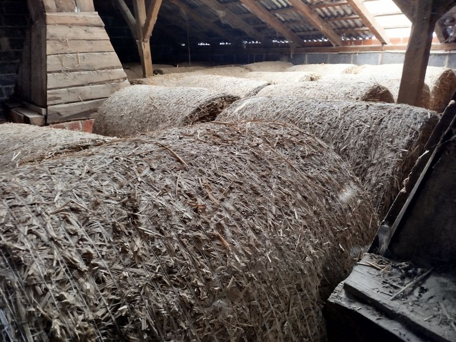 Sloma sprzedam słome