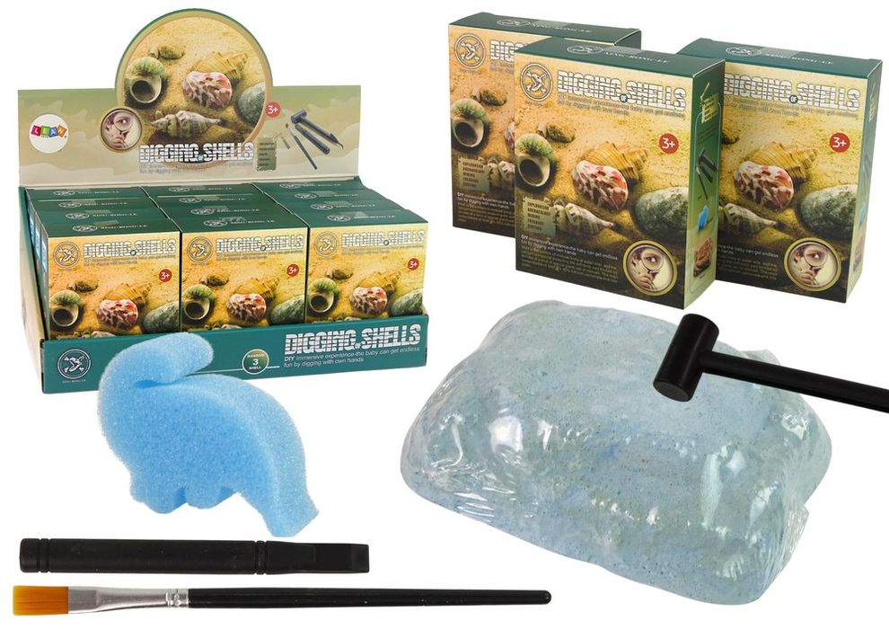 Archeologiczne wykopaliska muszle muszelki gips