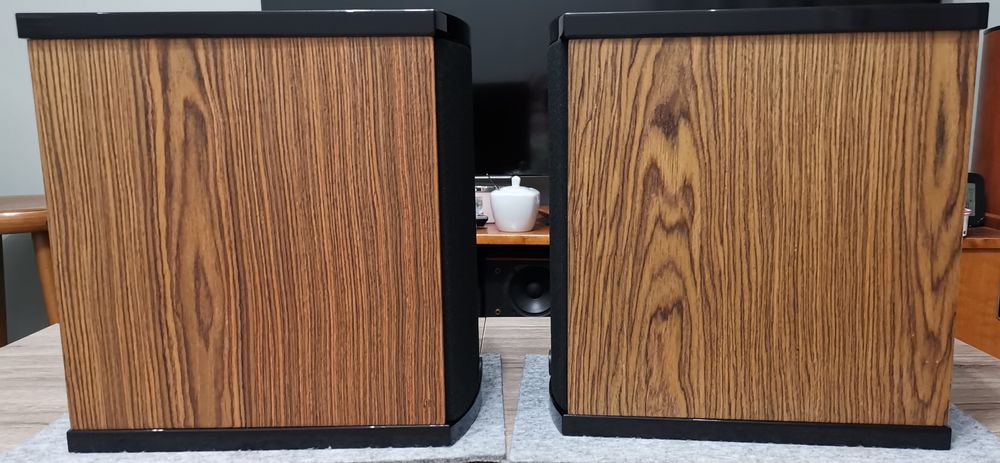 Platinum audio solo monitory