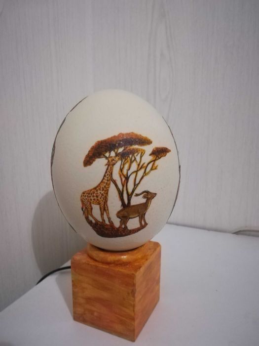 Ovo de avestruz iluminado