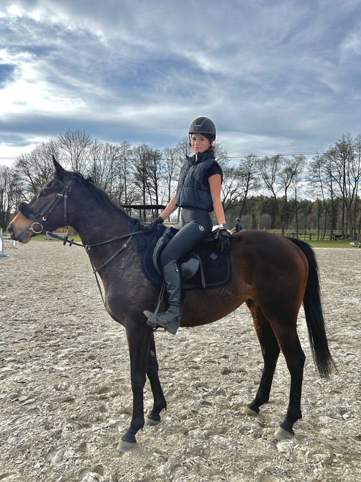 Cudowna i grzeczna klacz idealna do skoków i w tereny