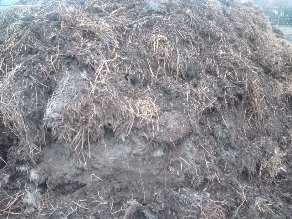 Obornik, nawóz naturalny, pełnowartościowy ZAMIANA