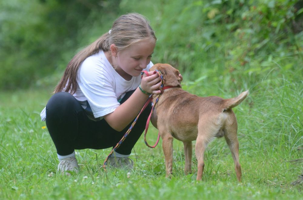 Porto-do adopcji
