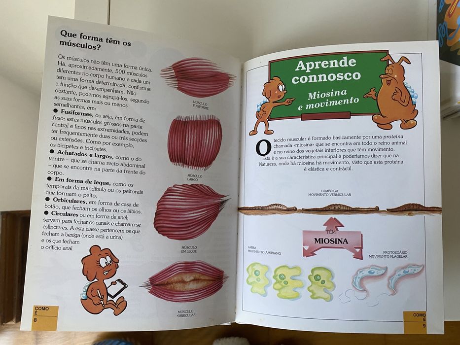 Coleção “Era uma vez o Corpo Humano”