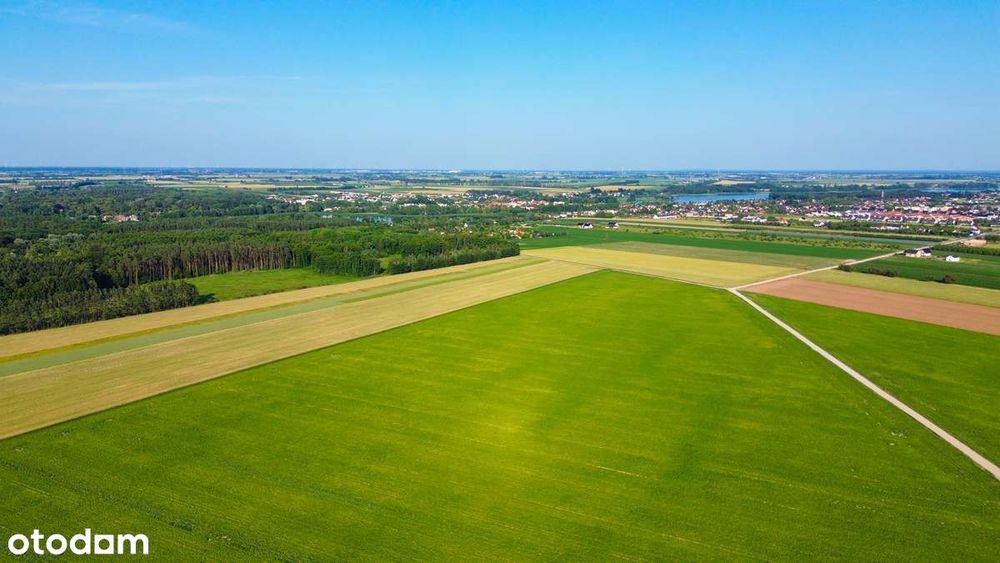 Działki pod LASEM ! Możliwość płaskich dachów ! od 806m2