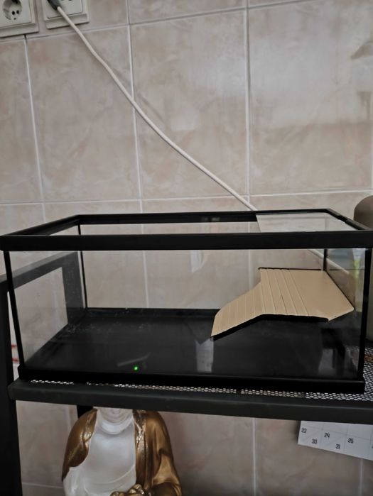 Aquário + termostato de 50graus