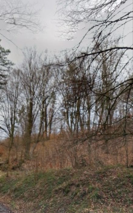 Ділянка 12 сотиків Брюховичі біля лісу