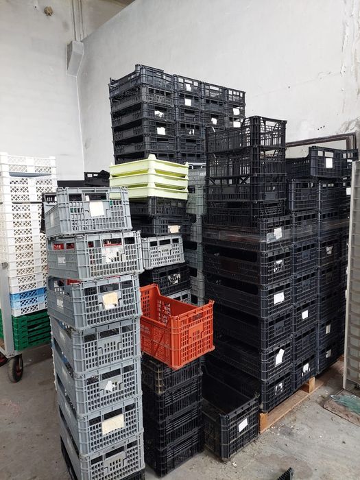 Caixas de fruta e de bolos perto de 400 unidades