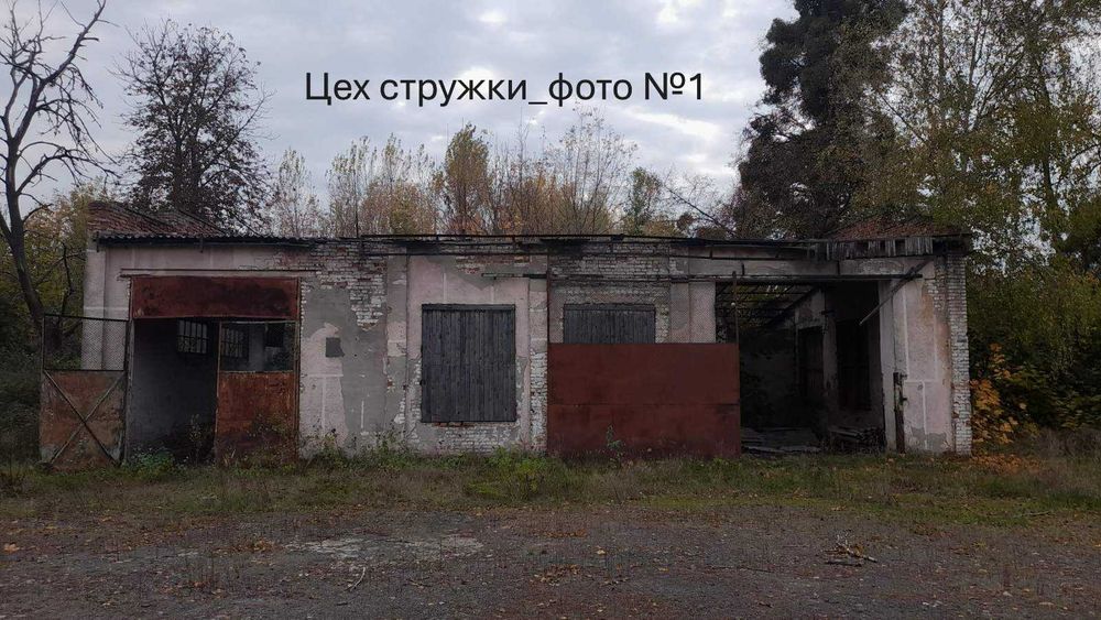 Цех стружки та цех хвойного екстракту площею 1289 кв.м, Волинська обл.,