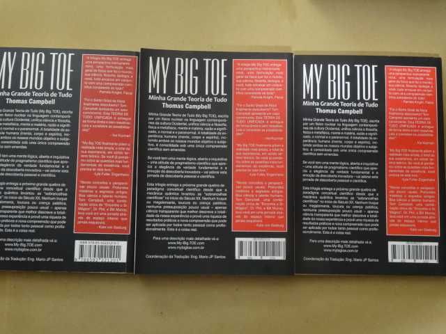 My Big Toe - Minha Grande Teoria de Tudo  de Thomas Campbell - 3 Volumes - 1ª Edição